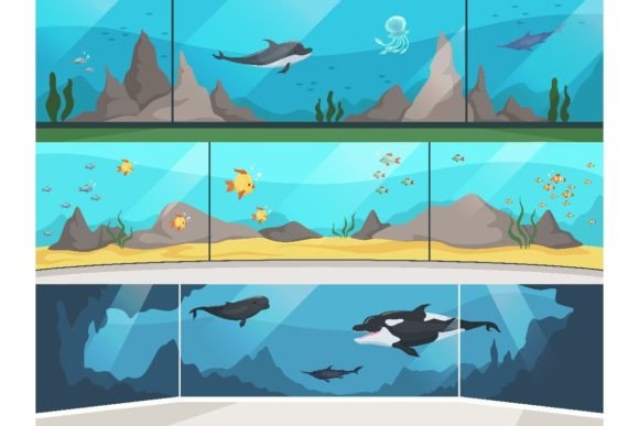 Download Museum Aquarium. Underwater Zoo Children - Underwater Collection